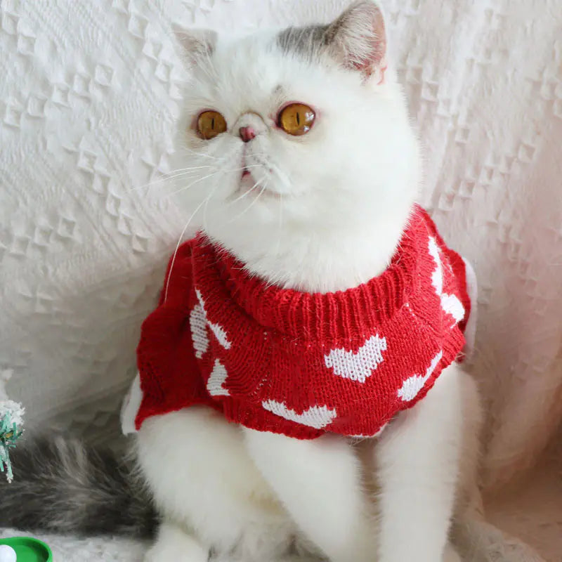 Festive Princess Dress Sweater for Pets at Christmas