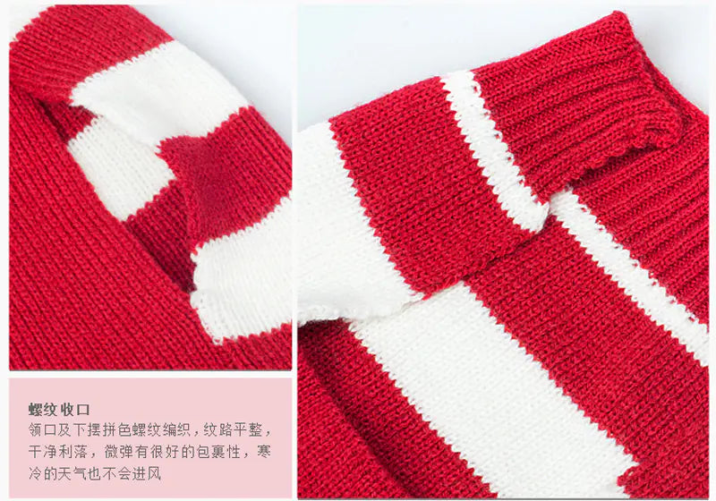 Holiday Pooch Sweater - Cozy Festive Knit