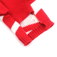 Holiday Pooch Sweater - Cozy Festive Knit