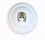 Spine Protection Bowl Holder for Cat Food and Water